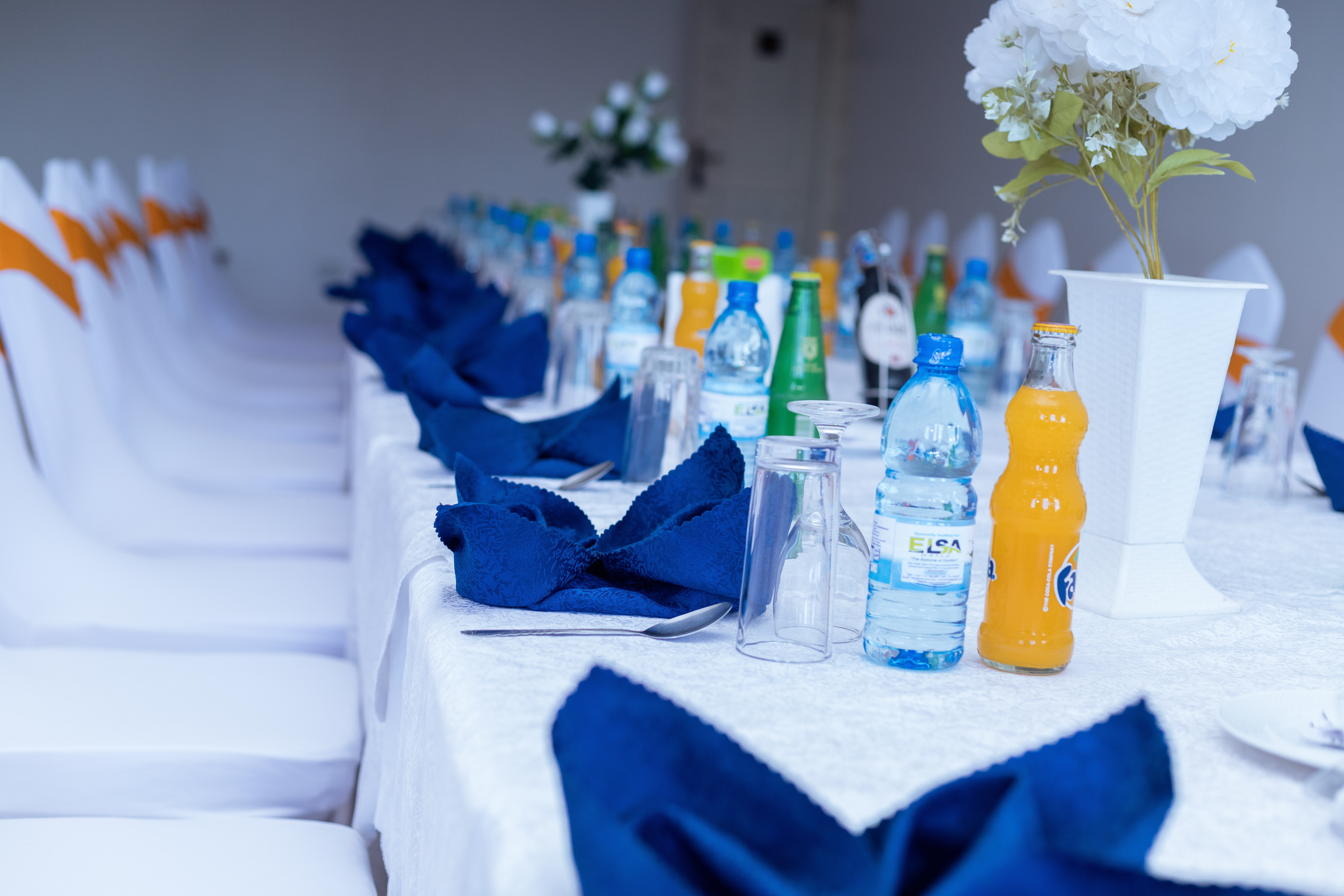 Elsa Hotel Rose Hall